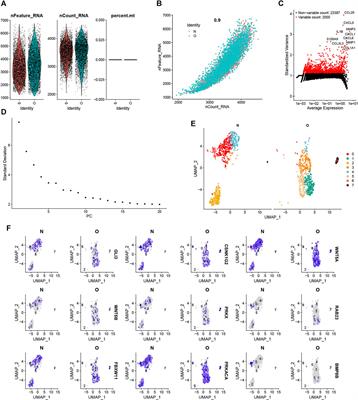 Characterizing hedgehog pathway features in senescence associated osteoarthritis through Integrative multi-omics and machine learning analysis